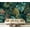 Color 4, variant on Wall Mural Peel and Stick palm frond Tropical leaves seamless Banana leaf Self-Adhesive Wallpaper Removable Wall Decal Wall Sticker Home Decor for Living Room Bedroom 69"x96"