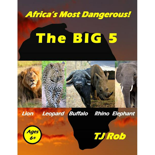 Amazing Animal Facts: Africa's Most Dangerous - The Big 5 : (Age 5 - 8)  (Paperback) 