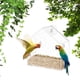 thumbnail image 5 of Jaula de pájaros pequeña de acrílico con ventosa sin perforaciones, comedero para pájaros, suministros para mascotas, jaula de pájaros transparente para montar en la pared, 5 of 6