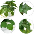 thumbnail image 3 of 3 Packs Fake Plants, Small Artificial Plants with Plastic Pots, Fake Potted Desk Plants for Office Home Shelf Decor Indoor Outdoor, 3 of 5