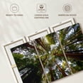 thumbnail image 6 of Elephant Stock Muir Wood California Redwoods Wall Art - Horizontal Multi Panel Canvas - Living Room Wall Decor - Floral And Botanical Multi Panel - Gray And Beige Decor - 50" x 32", 6 of 8