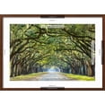 thumbnail image 5 of Savannah, Georgia, USA Oak Tree Lined Road at Historic Wormsloe Plantation. Framed Photographic Print by SeanPavonePhoto, 24" x 16", Sold by Art.com, 5 of 5