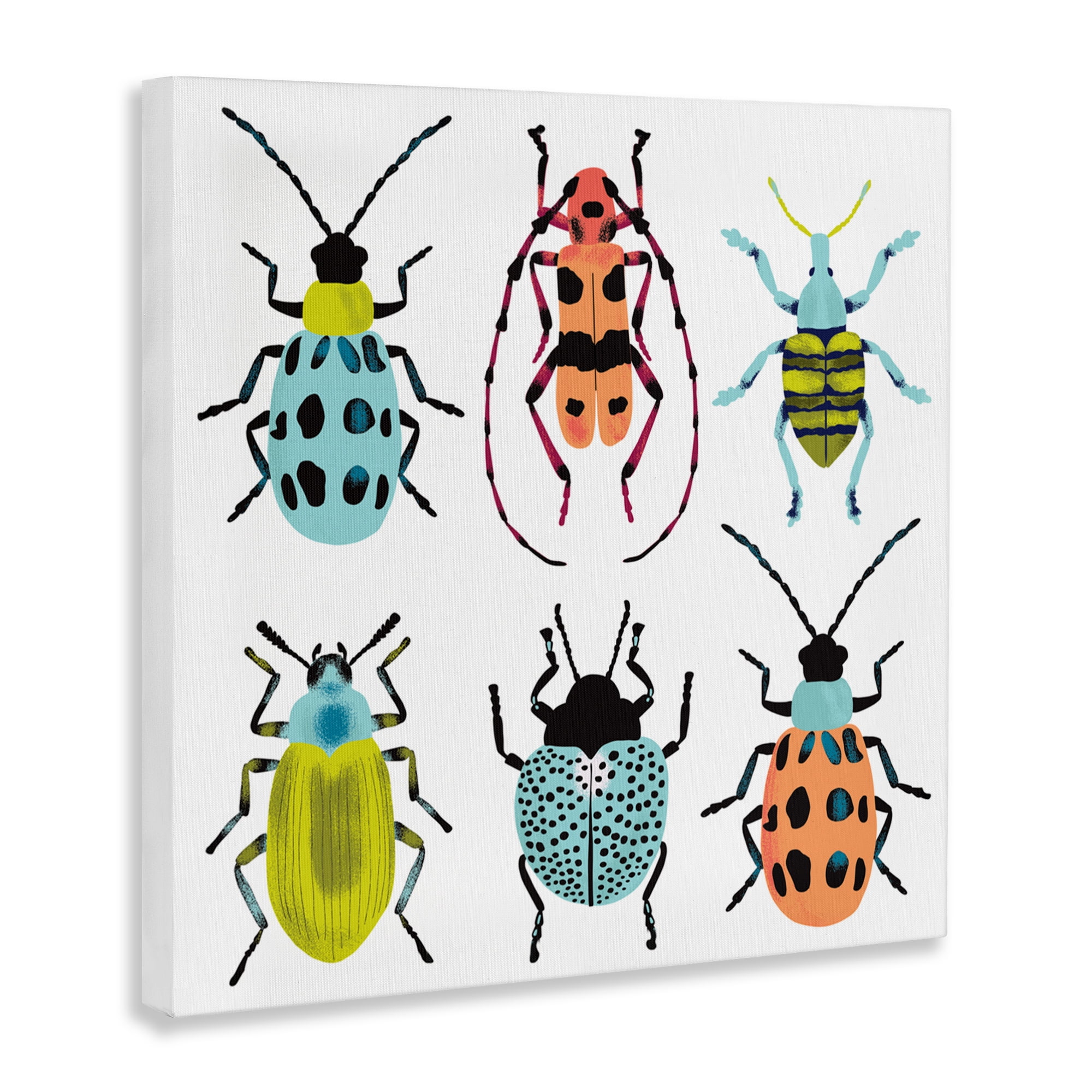 Stupell Industries Beetles & Bugs Collection Canvas Wall Art, design by Metka Hiti
