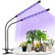 thumbnail image 1 of Luz LED para el crecimiento de plantas, clip de luz para plantas, luz solar de espectro completo temporizada, luz complementaria para plántulas de hierbas y flores suculentas, 1 of 5