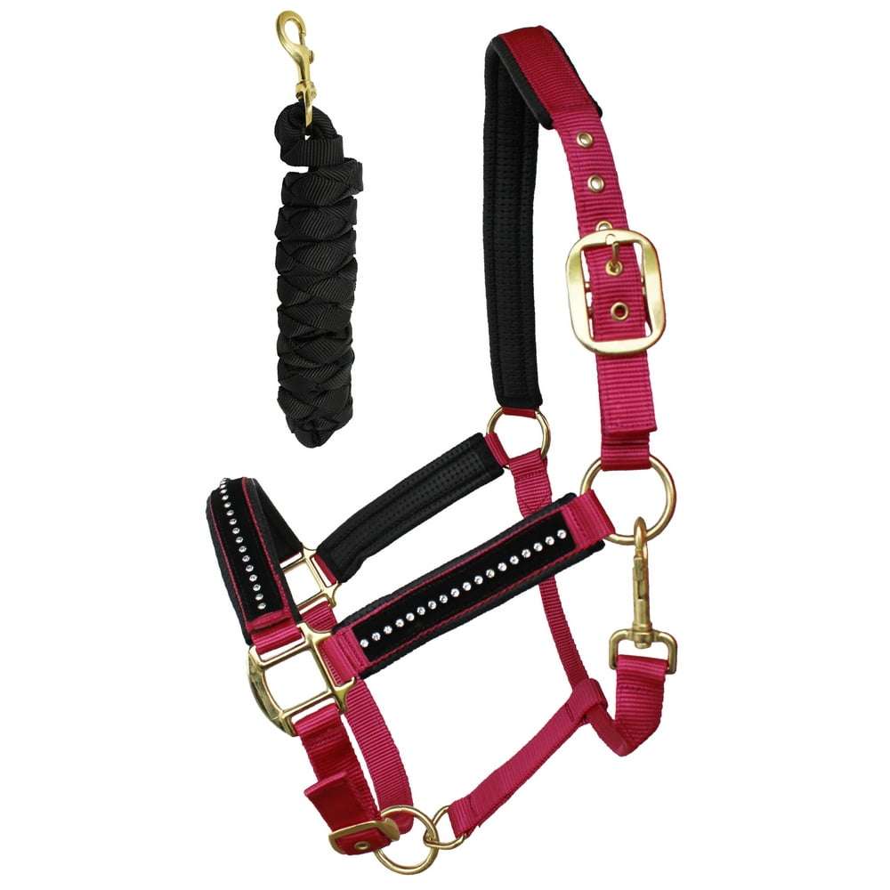 Nylon Horse Neoprene Padded Purple Halter Brass Hardware w/ Rhinestones