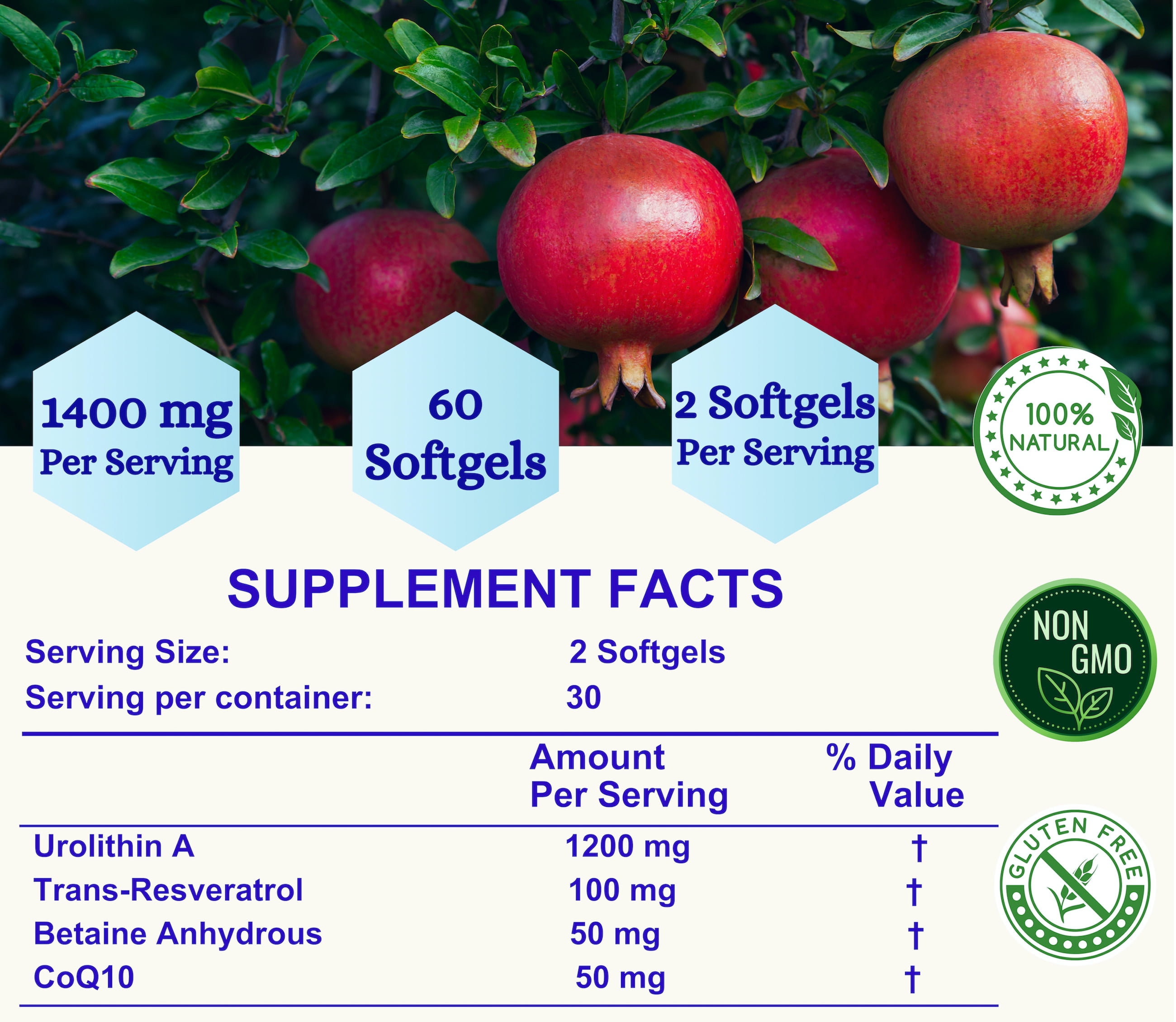 Nikoni Liposomal Urolithin-A Dietary Supplement Maximum Metabolism Healthy Aging Wellness 240 Softgels