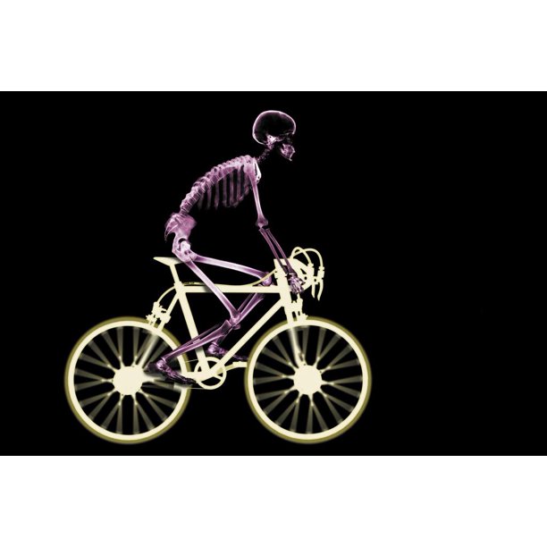 Skeleton Riding Ten Speed Bicycle X Ray Photo Photograph xray xray see