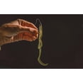 thumbnail image 5 of 6th Sense – Tusk MagGap Hook, Wide Gap Worm Hook with Slick Coating for Soft Plastics, 5 of 5