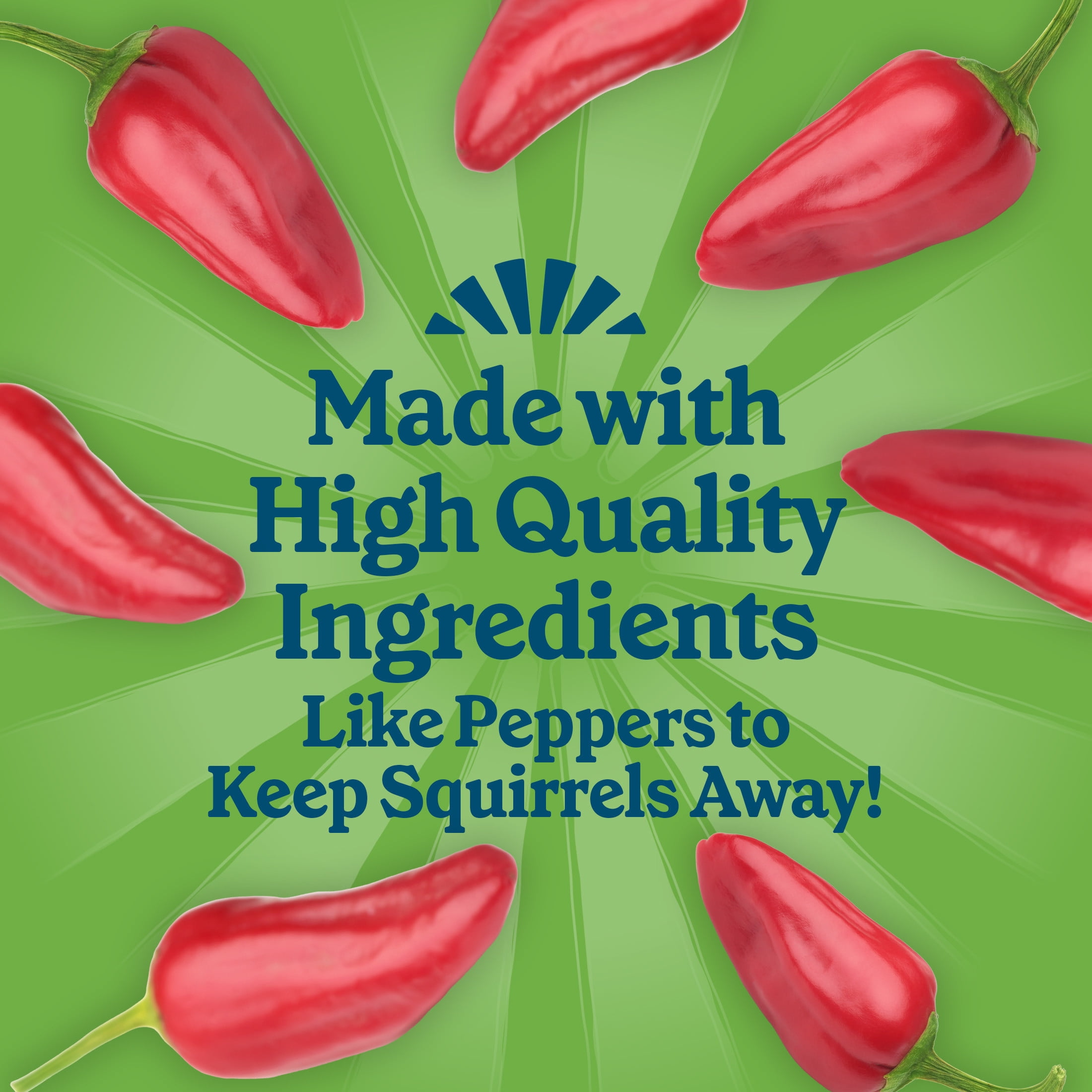 (12 pack) Pennington Feeding Frenzy Hot Pepper Delight No Melt Suet Dough Wild Bird Food Suet Cakes for Wild Birds, 11.75 oz., 1 Pack, Fresh