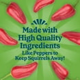 thumbnail image 5 of (12 pack) Pennington Feeding Frenzy Hot Pepper Delight No Melt Suet Dough Wild Bird Food Suet Cakes for Wild Birds, 11.75 oz., 1 Pack, Fresh, 5 of 13