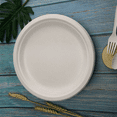 thumbnail image 5 of 100% Compostable Disposable Paper Plates Bulk 9 Inch 100 Pack, Bamboo Plates, Friendly, Biodegradable, 5 of 5