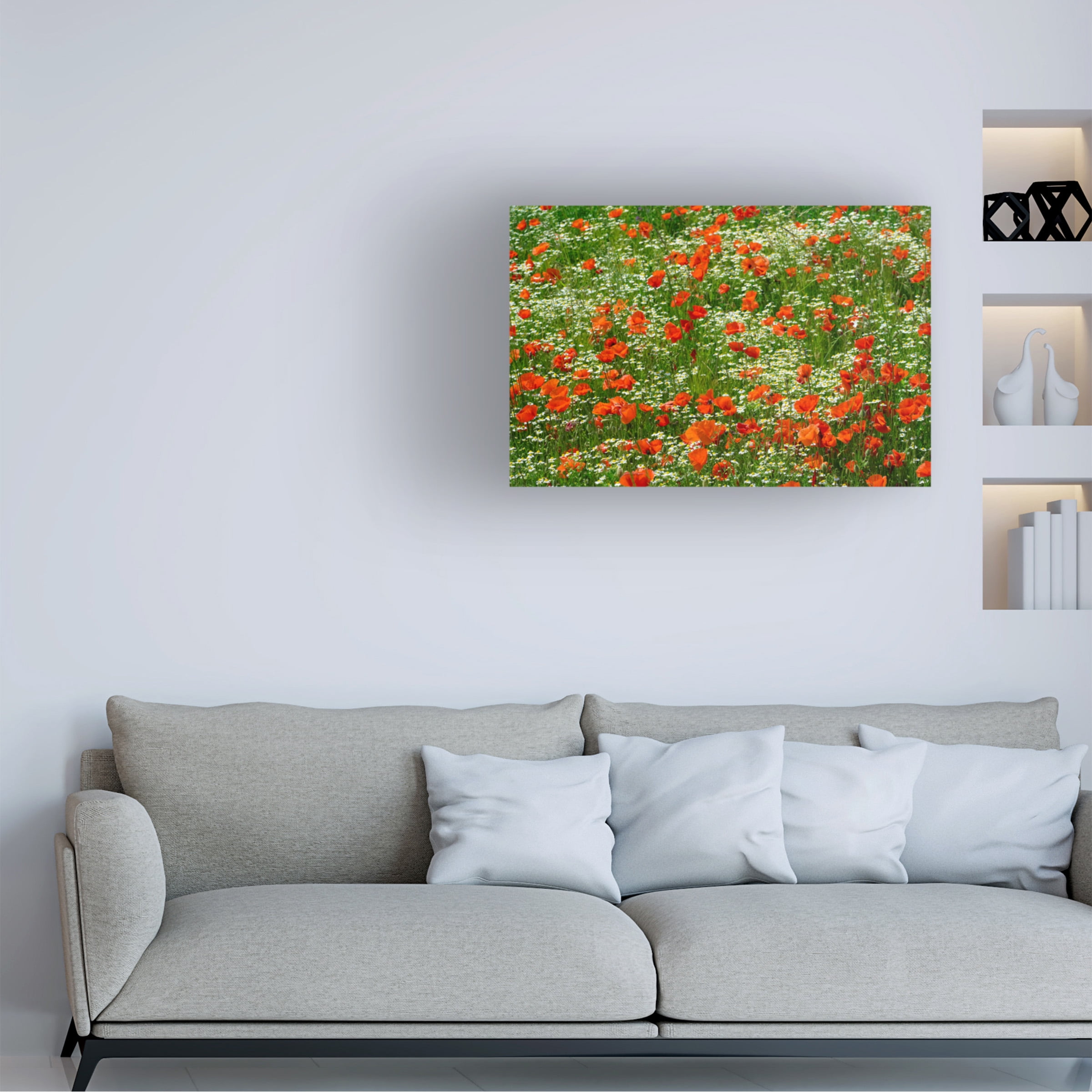 Cora Niele 'Poppies and Chamomile Flower Field' Canvas Art