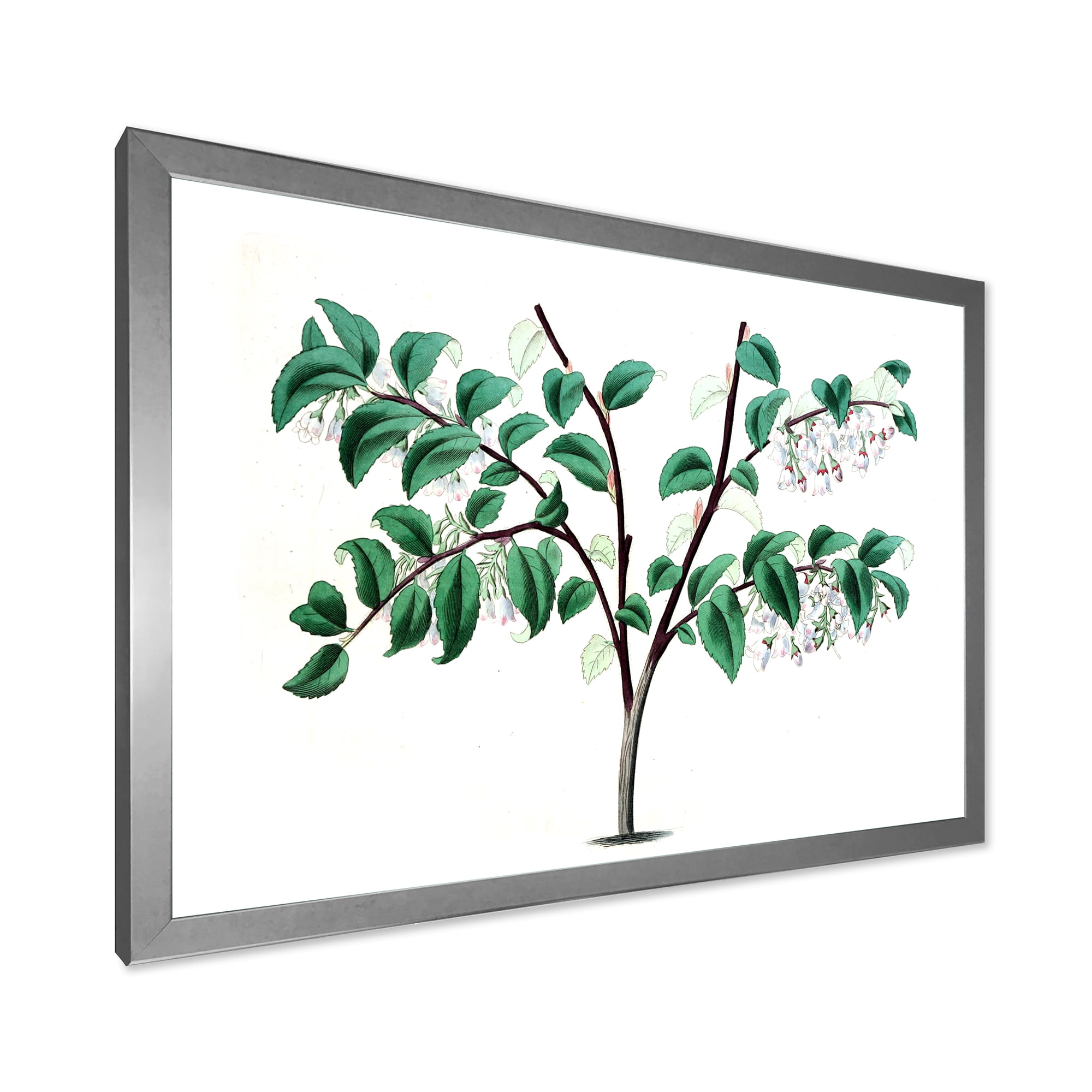Designart 'Ancient Green Leaves Plants I' Traditional Framed Art Print
