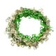 thumbnail image 2 of CaiYueKe St. Patrick's Day Window Clings Decorations, Irish Shamrock Four-Leaf Clover Garland Wreath Stickers, Festive Holiday Party Home Decor, Removable Vinyl Wall Window Decals for Indoor Outdoor, 2 of 6