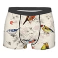 thumbnail image 4 of Goofa Little Birds Printed Men's Boxer Briefs Underwear, Moisture-Wicking Underwear, Trunk,Soft and Breathable Cotton Underwear-Large, 4 of 9