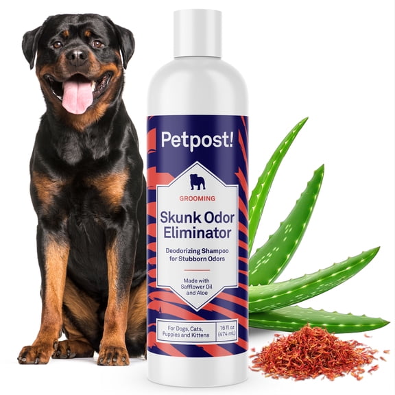 Petpost Skunk Odor Shampoo for Dogs & Cats - Natural Deodorizing Formula with Safflower Oil - Removes Skunk Spray, Eliminates Strong Odors - Gentle on Skin
