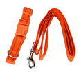 thumbnail image 2 of Kit de Correa Y Collar Fancy Pets para perro Mediano, 2 of 2