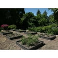 thumbnail image 2 of Lit de jardin surélevé (1 lit, sans enceinte), 2 of 6