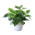 thumbnail image 2 of Visland Mini Fake Plants in Pots,Artificial Plastic Green Plants, Potted Faux Plants Indoor for Office Desk Coffee Table Bathroom Bedroom Home Decorations, 2 of 4