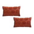 thumbnail image 1 of Fundas de cojín decorativas de calabaza otoñal de 28 x 48 cm. Juego de 2 fundas de cojín de piel suave marrón para la cosecha otoñal. Fundas de cojín de felpa esponjosa para decoración rústica., 1 of 5