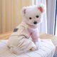 thumbnail image 1 of Sudadera con capucha para perro, ropa para perro, mono de 4 patas, suéter polar de invierno, sudadera con capucha de algodón cálida para perro pequeño, mediano y grande JM, 1 of 5
