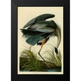 thumbnail image 2 of Audubon, John James 11x14 Black Modern Framed Museum Art Print Titled - The Great Blue Heron, 2 of 5