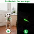 thumbnail image 4 of Typpkmm LED Glowing Dog Collar with Adjustable Flashing Rechargea, 4 of 7