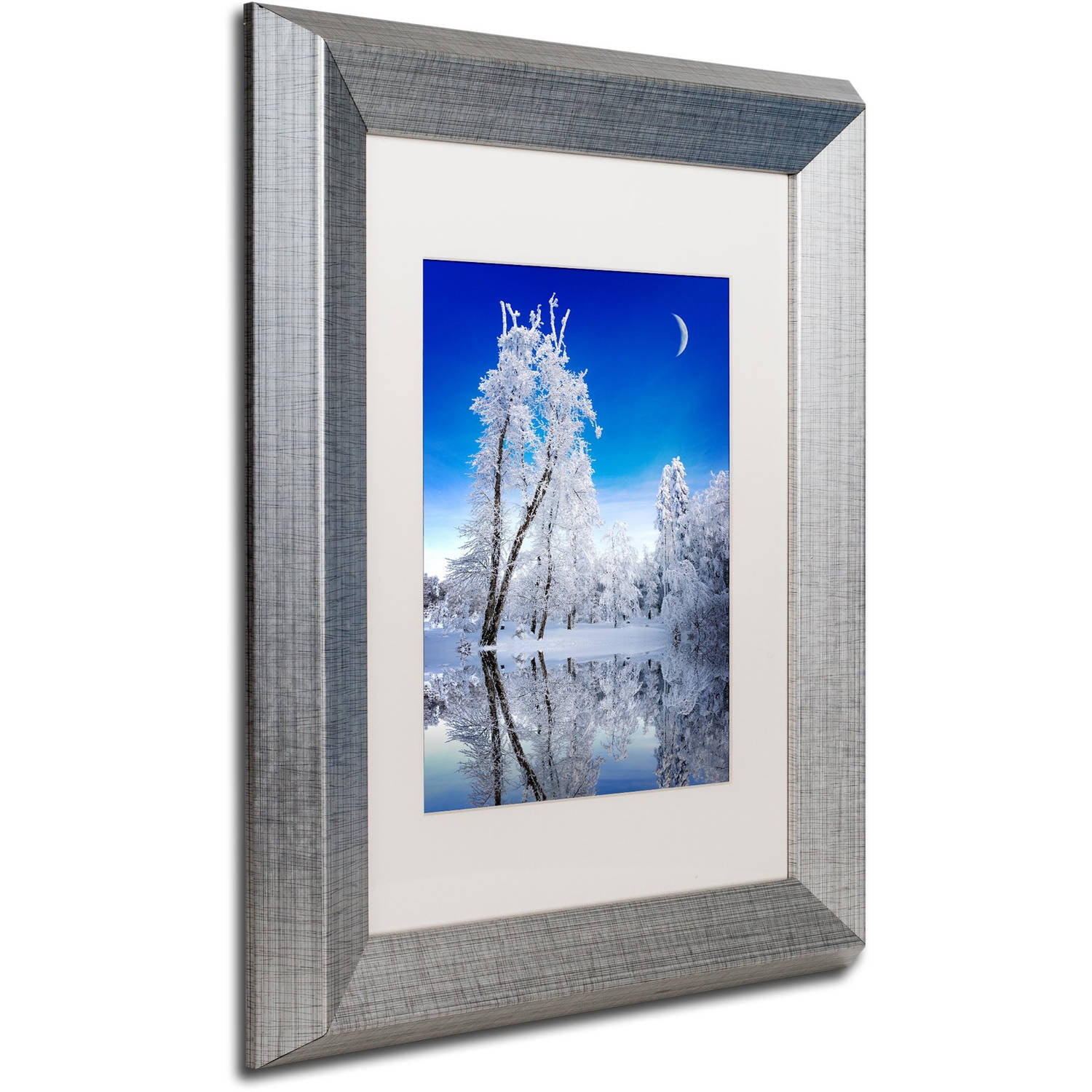 Trademark Fine Art "Emotive Ballad Canvas Art" Canvas Art by Philippe Sainte-Laudy, White Matte, Silver Frame