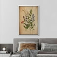 thumbnail image 2 of PixonSign Framed Canvas Print Wall Art Retro Antique Wildflower Still Life Nature Wilderness Illustrations Modern Art Botanical Floral Farmhouse/Country Relax/Calm/Cozy - 24"x36" White, 2 of 5