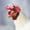 3Pcs Chicken Helmet Under $5 a5, variant on 3Pcs Pet Protection Hat for Small Animals Like Chicken and Bird! Usloyux Adjustable Elastic Bands for Comfort, Funny Costume Accessory for Party and Halloween, Durable PP Plastic with Sponge Lining
