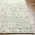 thumbnail image 3 of BoutiqueRugs Truc Bohemian, Transitional Area Rug - Ivory, Black - 6'7" x 9', 3 of 7