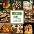 thumbnail image 4 of Zhou Mushroom 8-Plex | Boost Immune Support, Energy, Endurance & Overall Wellness | Lions Mane, Reishi Mushroom & Turkey Tail | 30 Servings, 2.14 oz, 4 of 5