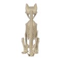 thumbnail image 3 of Adult Halloween Pl Skeleton Sitting Cat Décor, 3 of 5