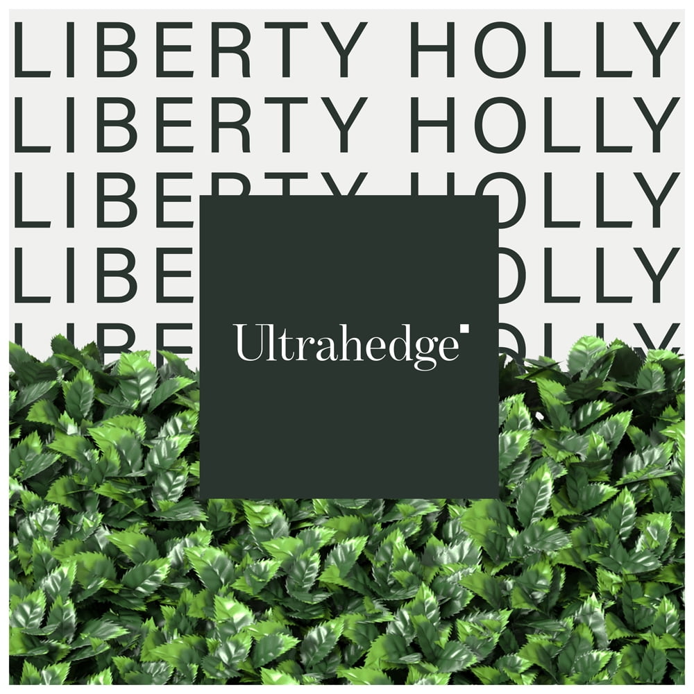 UltraHedge Liberty Holly Artificial Hedge 20' x 20' Panel, Medium Jagged Leaf, 6 Pack