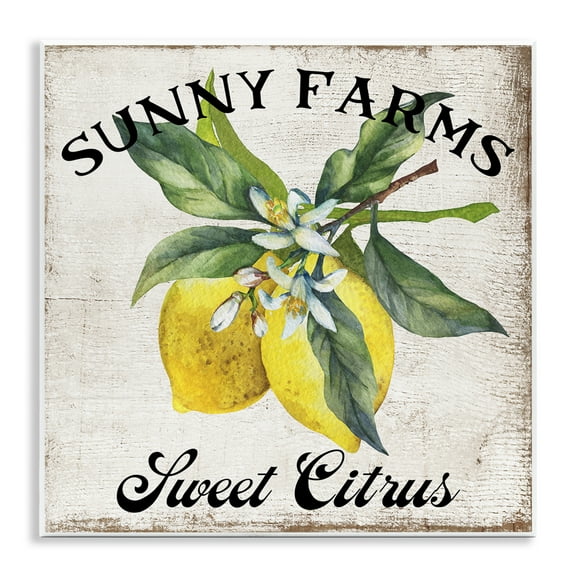 Stupell Industries Sunny Farms Sweet Lemon Food & Beverage Painting Unframed Art Print Wall Art, 12 x 12