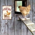 thumbnail image 5 of Farm Fresh Eggs Metal Tin Sign, 12 x 8 Inch Vintage Chicken Wall Decor for Farmhouse Kitchen, Chicken Coop, Barn, Home, Rustic Country Decoration, 5 of 6