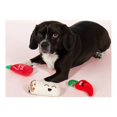 Fringe | Hot And Spicy- Set Of Three | Squeaky Plush Dog Toy - Walmart.com