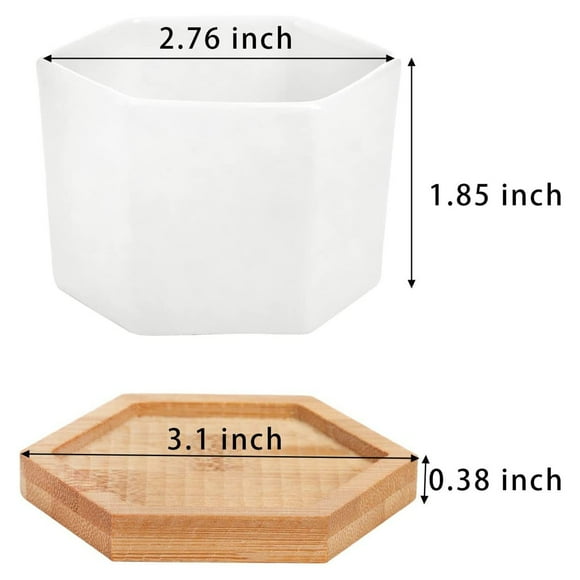 Ejiaya Planter Pots Indoor 2 Pack 2.76 Inch Modern White Ceramic Small Hex Flower Plant Pot with Tray for Indoors Outdoor Home Garden Kitchen Decor,