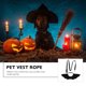 thumbnail image 5 of Pet correa para gato correa de cofre de gato sorteo chaleco de perro arnés de rosa collar rosa correa de pecho suministros para mascotas para helloween (color de botón aleatorio), 5 of 5