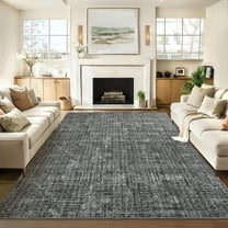 FairOnly 5'x7'Modern Solid Color Machine Washable Area Rug Minimalist Soft Non Slip Folable Floor Rug for Living Room Bedroom,Dark Grey