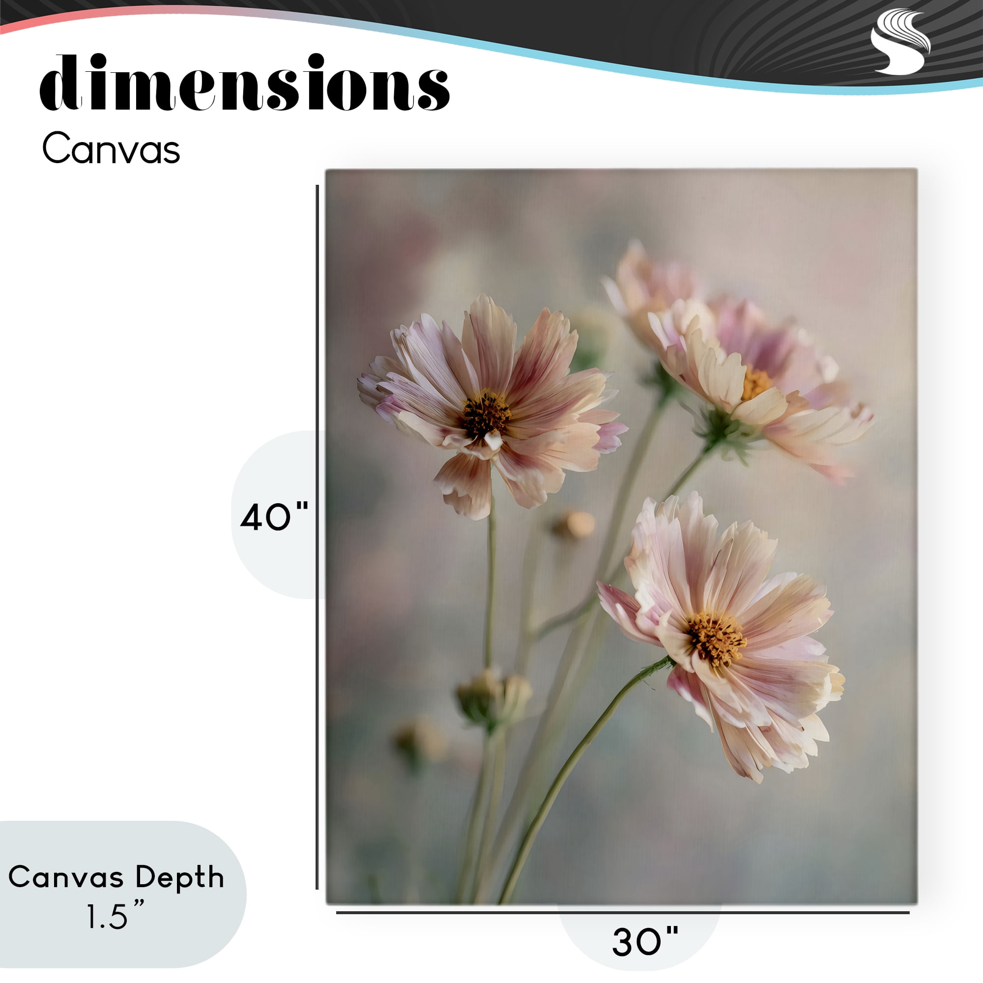 Stupell Industries Pink Daisies Close Up Canvas Wall Art, design by Franklyn Gregory