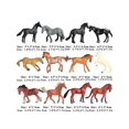 thumbnail image 2 of 12PCS Horse Foal Toy Figures, Realistic Horse Pony Toy, Plastic Horse Figurines, Horse Animal Toys for Girls and Boys, Horse Club Cake Topper Party De, 2 of 5