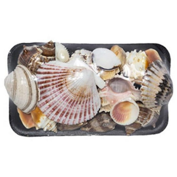 U.S. Shell 08027 17-S Shell Pack - 2 Piece