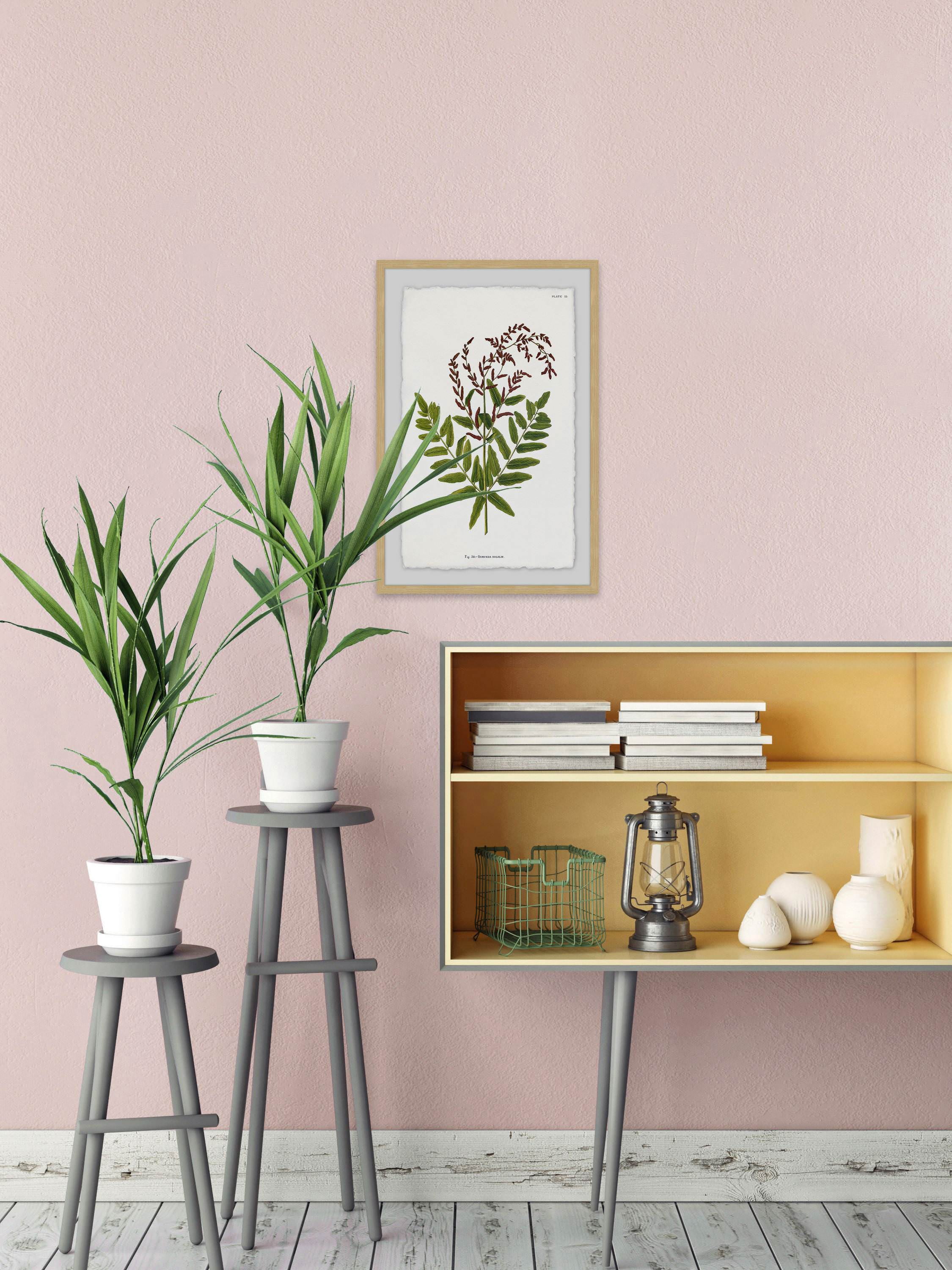 Sympathy Ferns Framed Painting Print