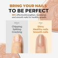 thumbnail image 6 of modelones Nail Strengthener, 8-in-One Nail Ridge Filler Base Coat Nail Polish Repair Nail Growth Treatment for Thin and Damaged Nails, Sparkling Champagne, 15ml, 6 of 10