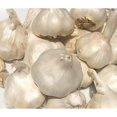 thumbnail image 1 of YBQF Fresh 100% Naturally Garlic Bulbs For Planting or Cooking! (0.5), 1 of 2
