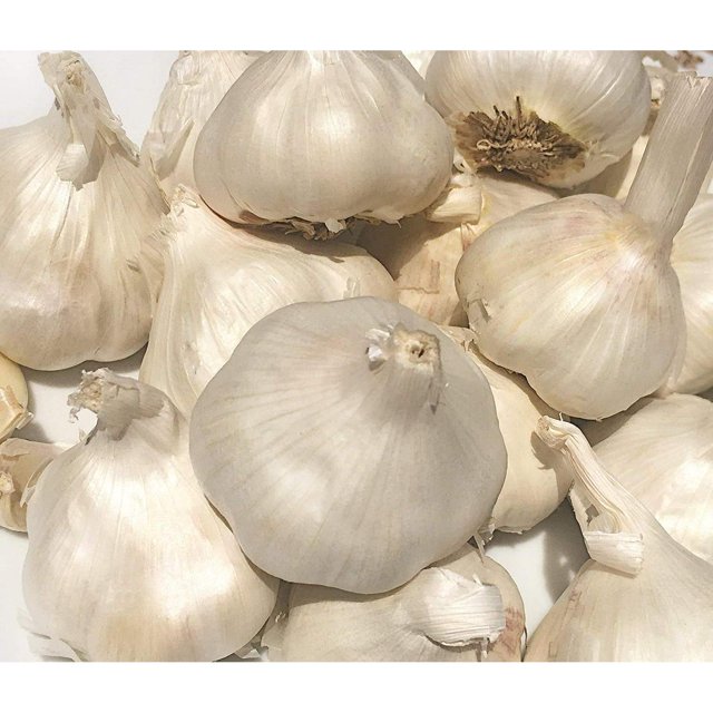 YBQF Fresh 100% Naturally Garlic Bulbs For Planting or Cooking! (0.5)