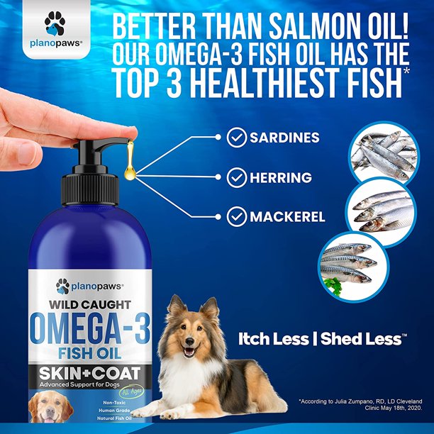 Best fish oil shop for dogs joints