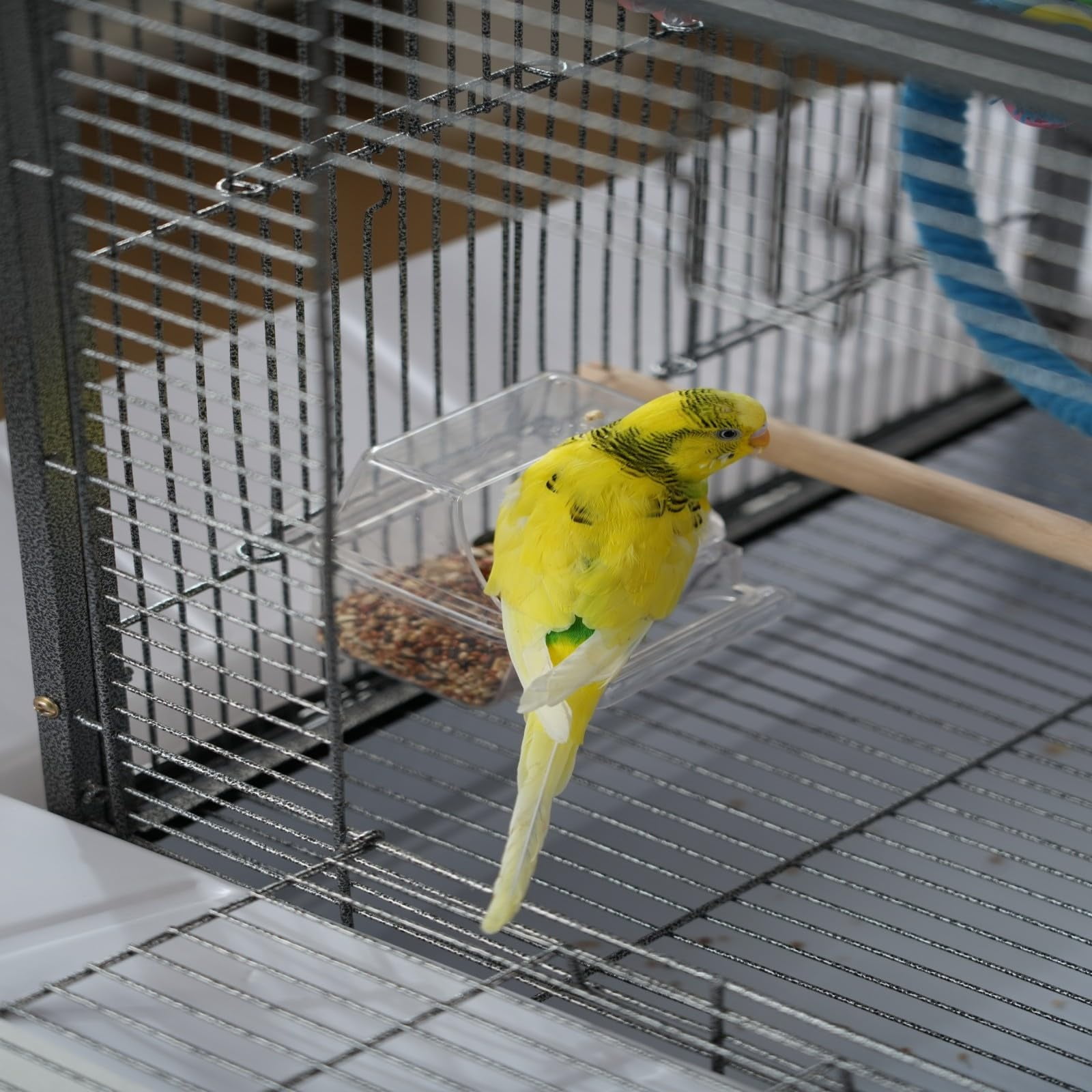 Small Bird Cage, 45 x 45 x 60 cm Travel Carrier Cage with Pull-Out Tray and 2 Perches, Metal Portable Bird Carrier with Handle, for Parrot, Budgie, Parakeet, Small Medium Birds