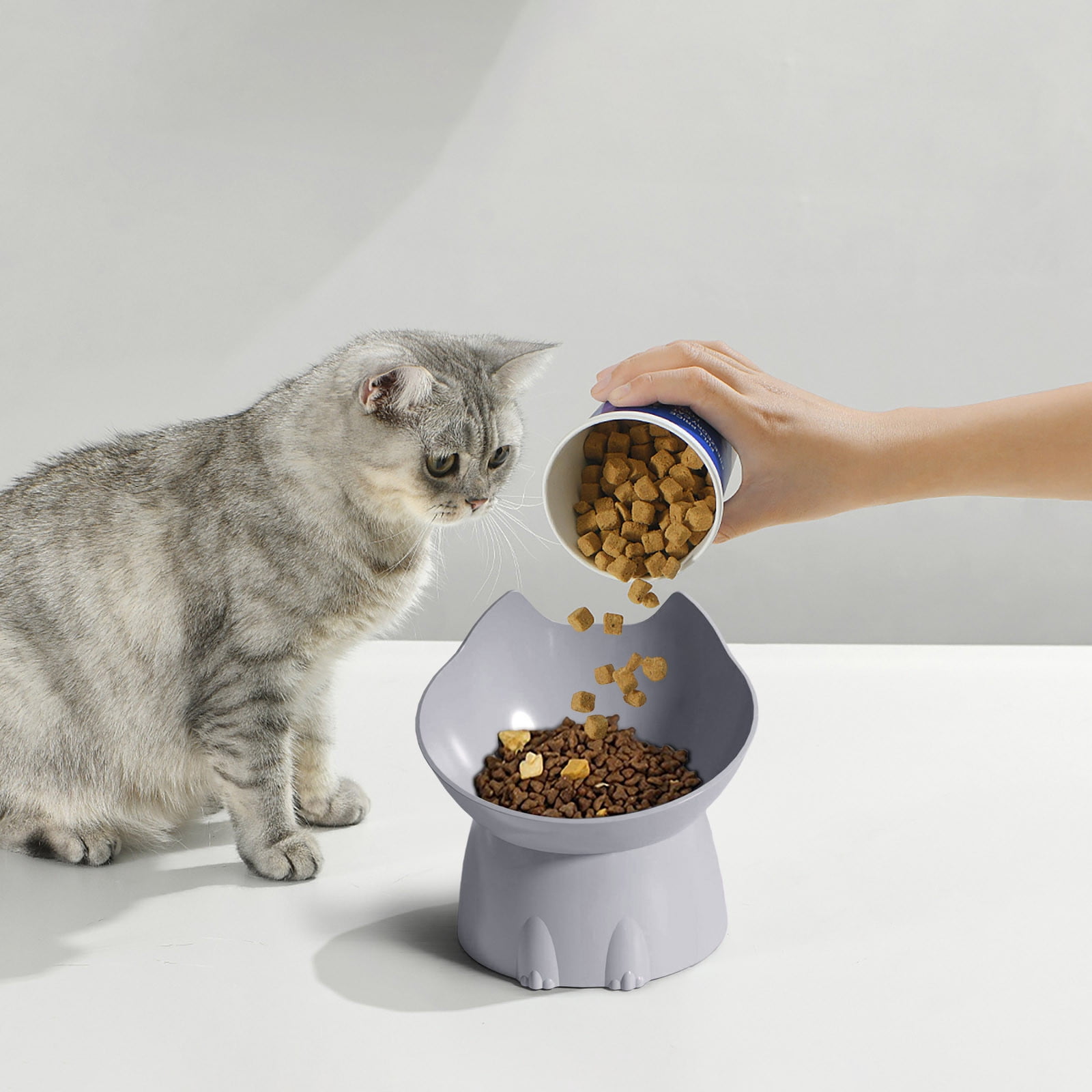 2pcs Tilted Elevated Cat Food Bowl - Cat Bowls Whisker Friendly Anti Vomiting Slanted Feeding Bowls Cute Shallow Bowl A